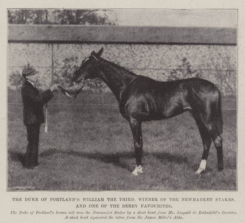 Książę Portlands Wilhelm III, zdobywca nagród Newmarket i jeden z faworytów Derby autorstwa English Photographer