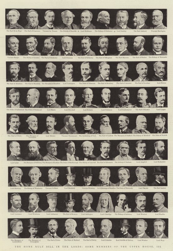 Ustawa o rządzie panującym w lordach, niektórzy członkowie wyższej izby, III autorstwa English Photographer