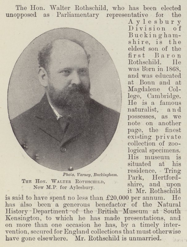 Szanowny Walter Rothschild, nowy poseł Aylesbury autorstwa English Photographer