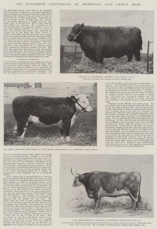 Setna rocznica Smithfield Club Cattle Show autorstwa English Photographer