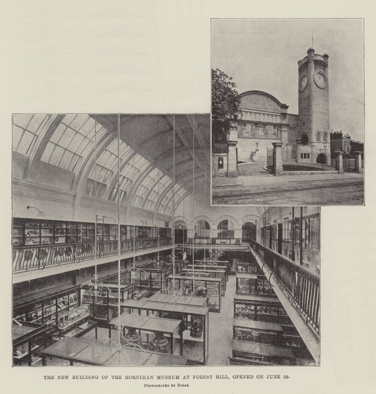 Nowy budynek Horniman Museum na Forest Hill, otwarty 29 czerwca autorstwa English Photographer
