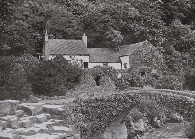 Stary młyn, Jesmond Dene (zdjęcie czarno-białe) autorstwa English Photographer