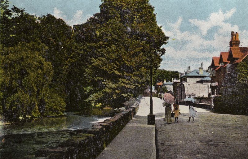 Staw, Bonchurch autorstwa English Photographer
