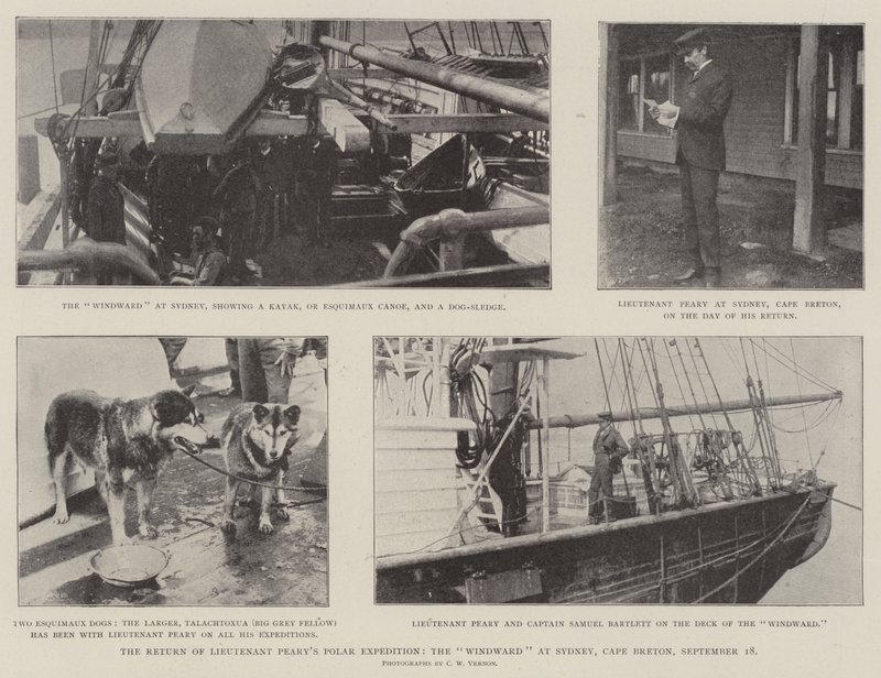 The Return of Lieutenant Pearys Polar Expedition, Windward w Sydney, Cape Breton, 18 września autorstwa English Photographer