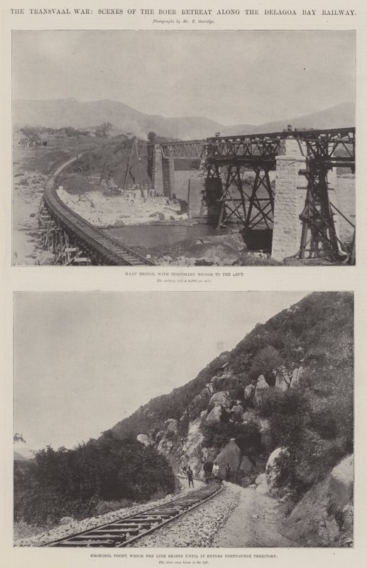 Wojna Transwalu, sceny odwrotu Burów wzdłuż Delagoa Bay Railway autorstwa English Photographer