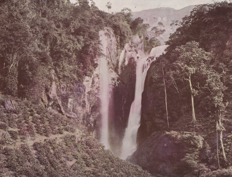 The Twin Falls (kawa rosnąca na pierwszym planie), Cejlon (kolorowe zdjęcie) autorstwa English Photographer