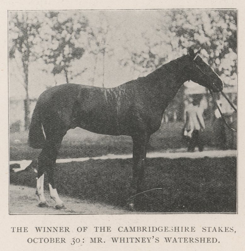 Zwycięzca Cambridgeshire Stakes, 30 października, pan Whitneys Watershed autorstwa English Photographer