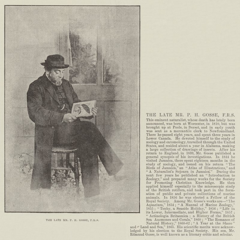 Nieżyjący już pan P H Gosse, FRS autorstwa English Photographer