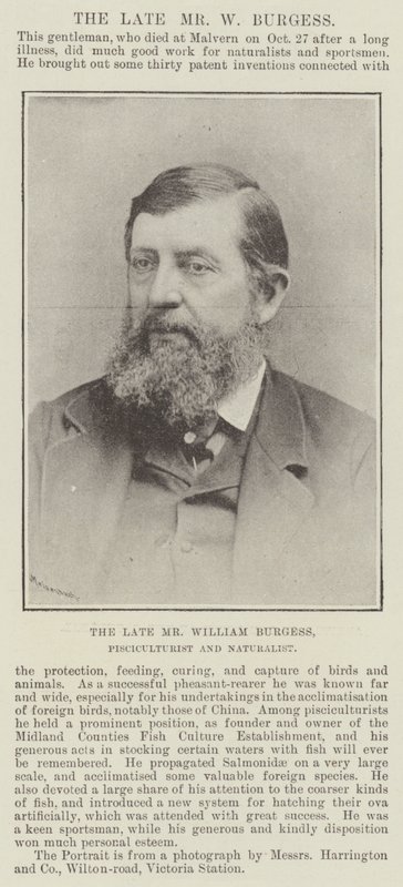Nieżyjący już pan William Burgess, hodowca ryb i przyrodnik autorstwa English Photographer