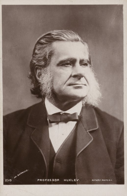 Thomas Henry Huxley (1825-1895, angielski biolog) autorstwa English Photographer