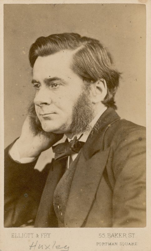 Thomas Henry Huxley autorstwa English Photographer