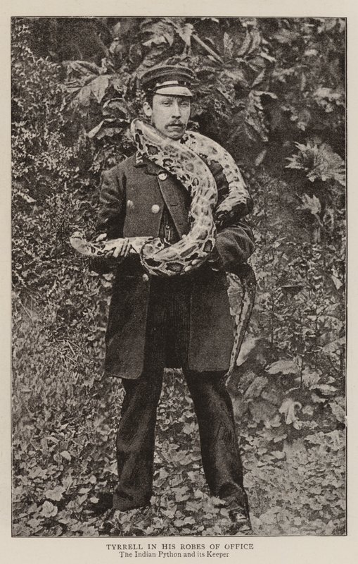 Tyrrell w swoich szatach urzędu autorstwa English Photographer