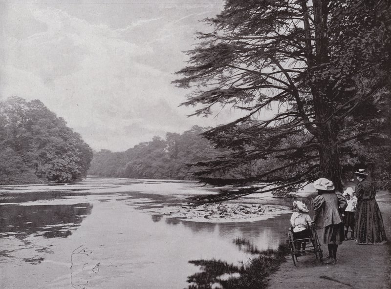 Park Wanstead autorstwa English Photographer