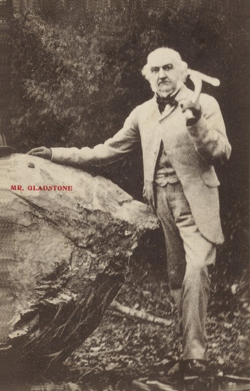 William Ewart Gladstone autorstwa English Photographer