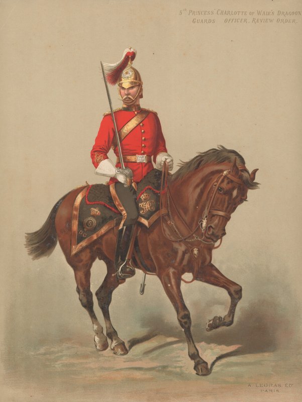 5th Princess Charlotte of Wales Dragon Guards, Oficer, Rozkaz Rewizyjny autorstwa English School