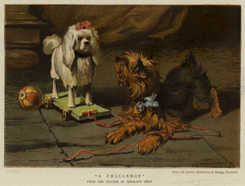 Wyzwanie (chromolitho) autorstwa English School
