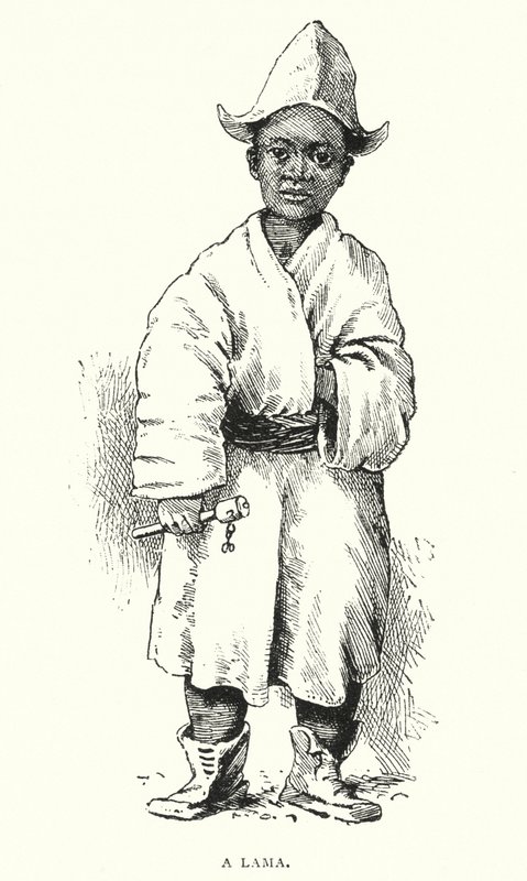 Lama (rycina) autorstwa English School