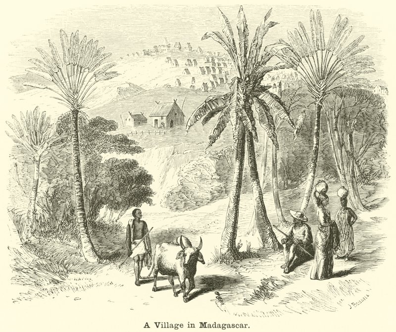 Wioska na Madagaskarze autorstwa English School