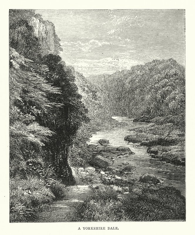 Yorkshire Dale (grawerunek) autorstwa English School