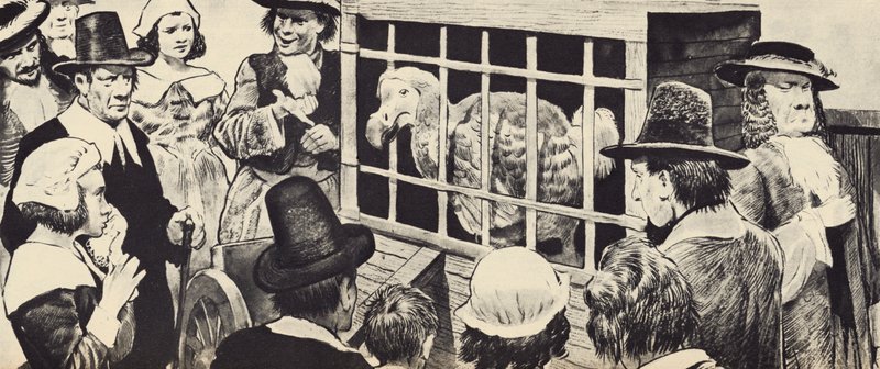 Dodo wystawiany w XVII-wiecznej Anglii (lito) autorstwa English School