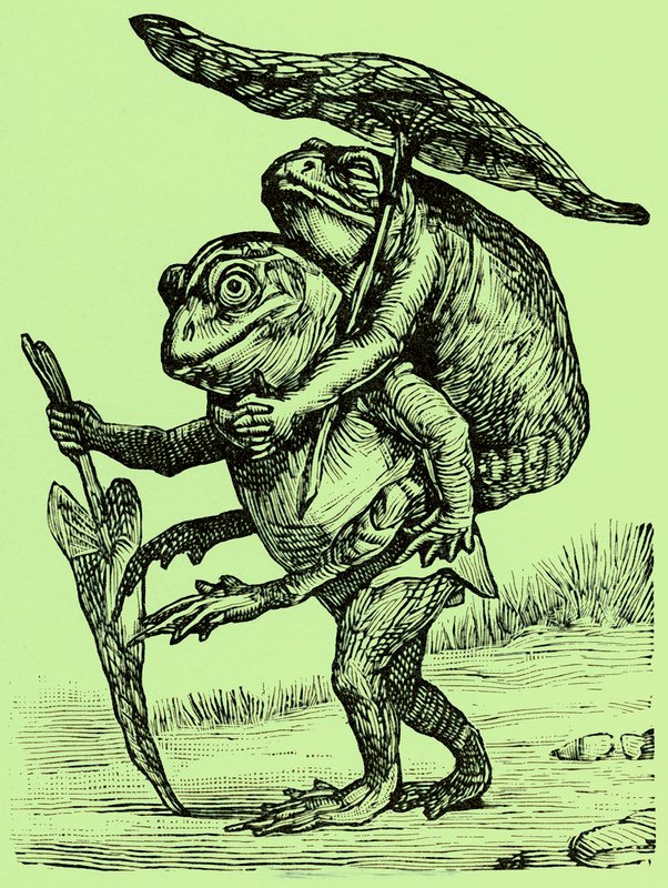 Miły mąż, ilustracja z Coles Funny Picture Book (obraz poprawiony cyfrowo) autorstwa English School