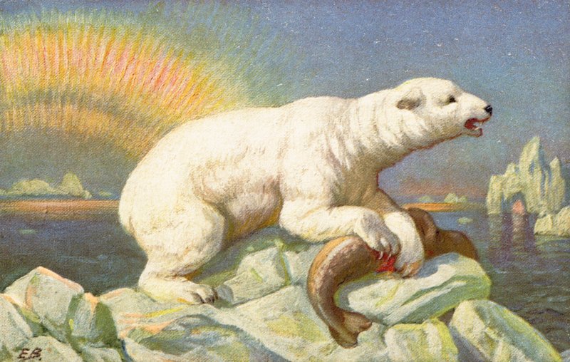Niedźwiedź polarny stoi nad ciałem ryby na skale autorstwa English School