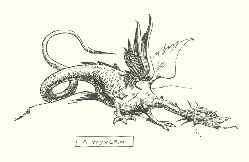 Wyvern (grawerunek) autorstwa English School