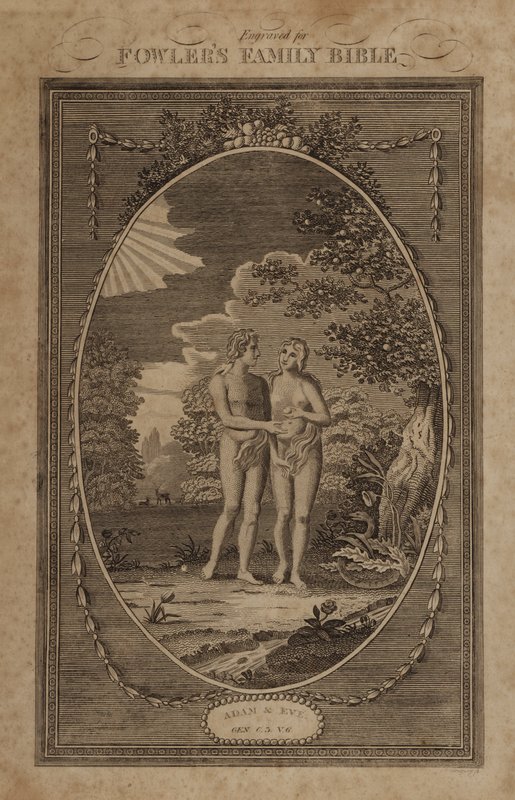 Adam i Ewa, Genesis, rozdział 3, werset 6 (rycina) autorstwa English School