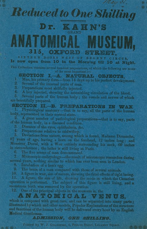 Reklama dla Muzeum Anatomiczne Dr Khans Grant autorstwa English School