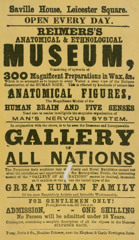 Reklama dla Muzeum Anatomiczno-Etnologicznego Reimerss autorstwa English School