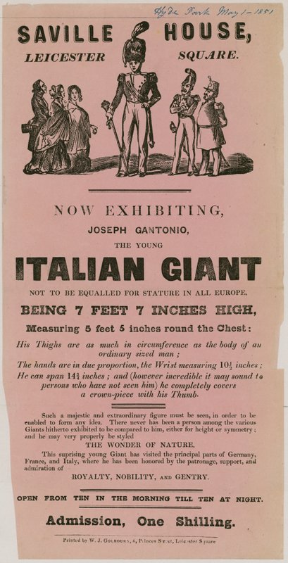 Ogłoszenie o występie Josepha Gantonio, młodego włoskiego giganta autorstwa English School