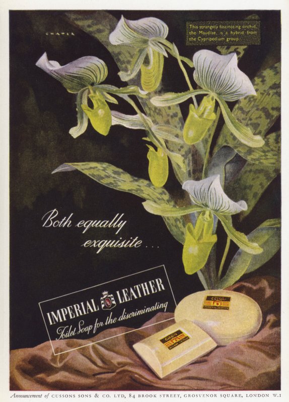 Reklama mydła Cussons Imperial Leather (kolor lito) autorstwa English School