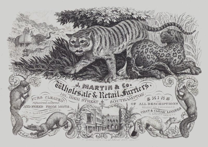 Reklama firmy J Martin & Co, hurtowni i detalistów kuśnierzy, Southampton, Hampshire (litho) autorstwa English School