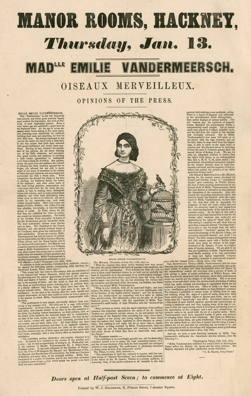 Reklama dotycząca występu Mademoiselle Emile Vandermeersch, Oiseaux Merveilleux w Manor Rooms, Hackney, Londyn autorstwa English School