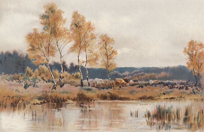 Po październikowych mrozach (chromolitho) autorstwa English School