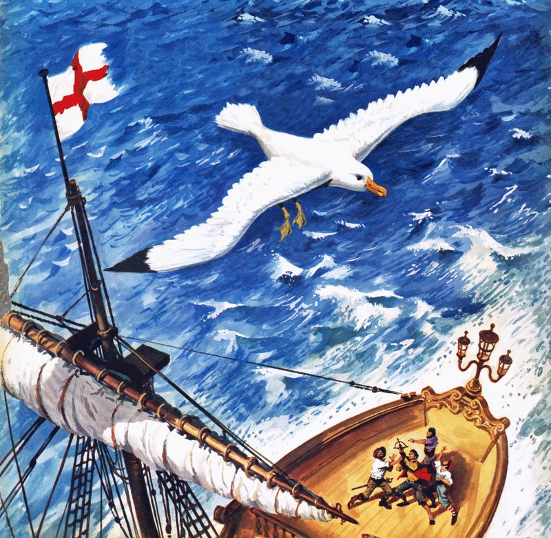 Albatros autorstwa English School