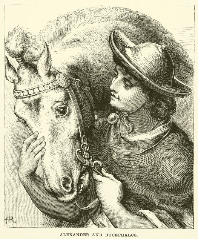 Aleksander i Bucefał (rycina) autorstwa English School