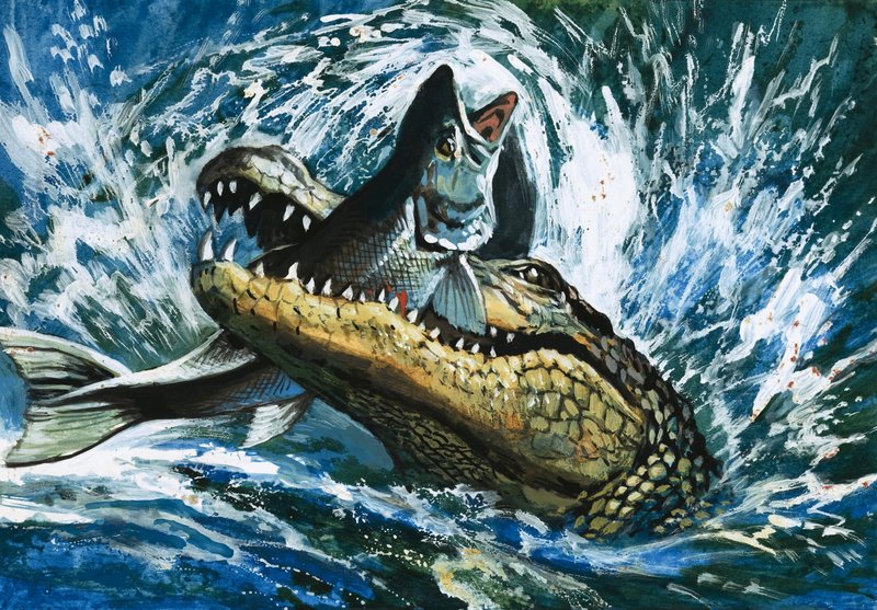 Aligator jedzący ryby autorstwa English School