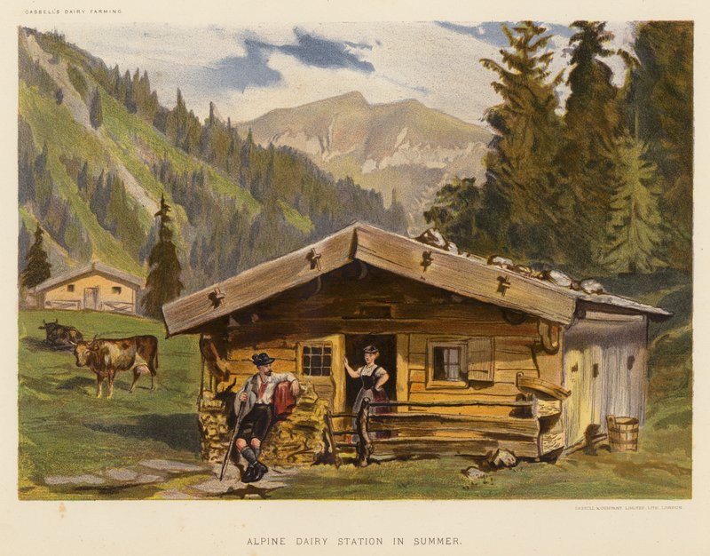 Alpejska stacja mleczarska latem (kolorowa litografia) autorstwa English School
