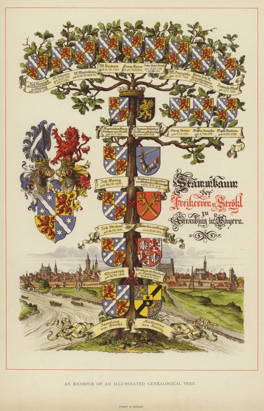 Przykład oświetlonego Drzewa Genealogicznego (kolor lito) autorstwa English School