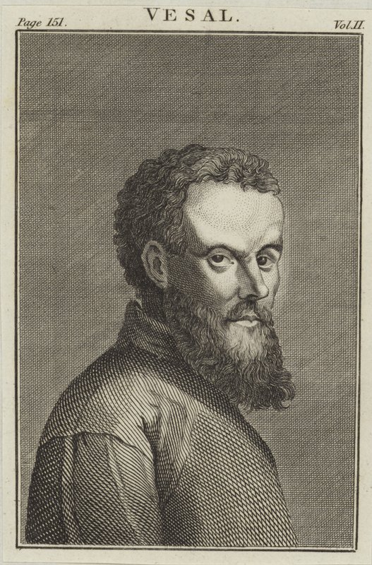 Andreas Vesalius autorstwa English School