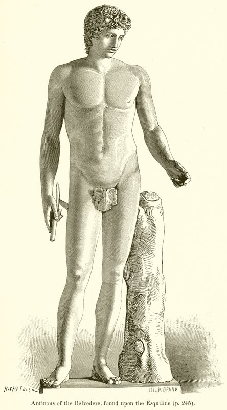 Antinous z Belwederu, znaleziony na Eskwilinie autorstwa English School