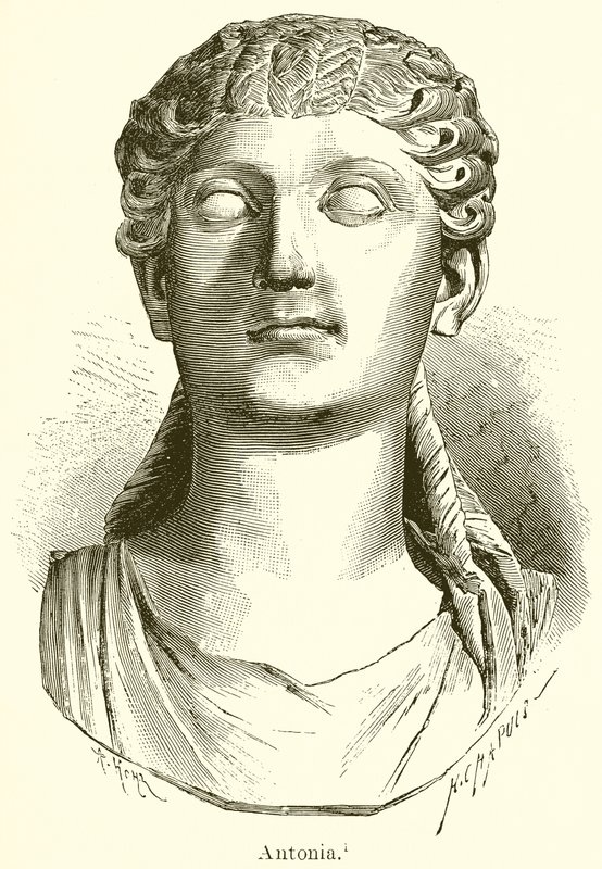 Antonia autorstwa English School