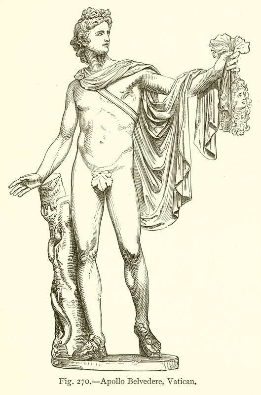 Apollo Belvedere, Watykan autorstwa English School