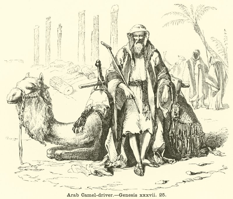 Arabski poganiacz wielbłądów, Genesis, xxxvii, 25 autorstwa English School