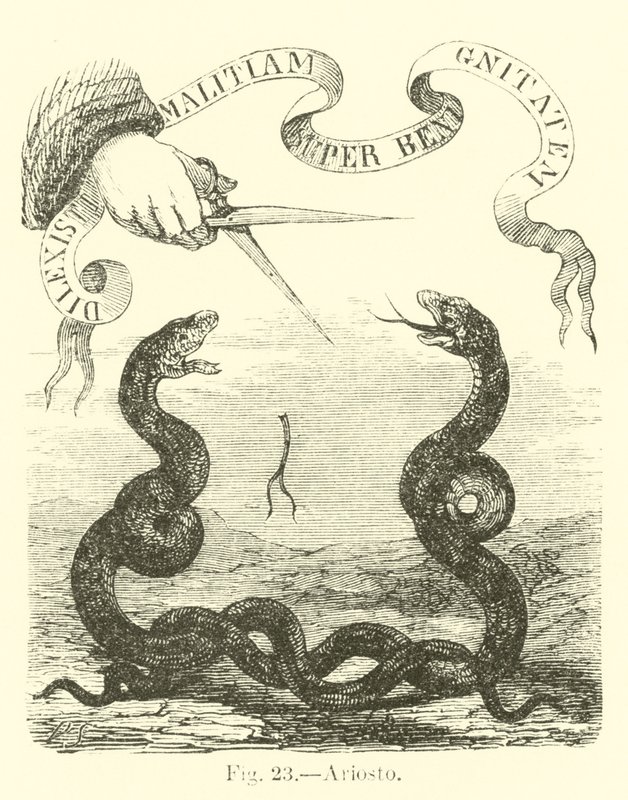 Ariosto autorstwa English School