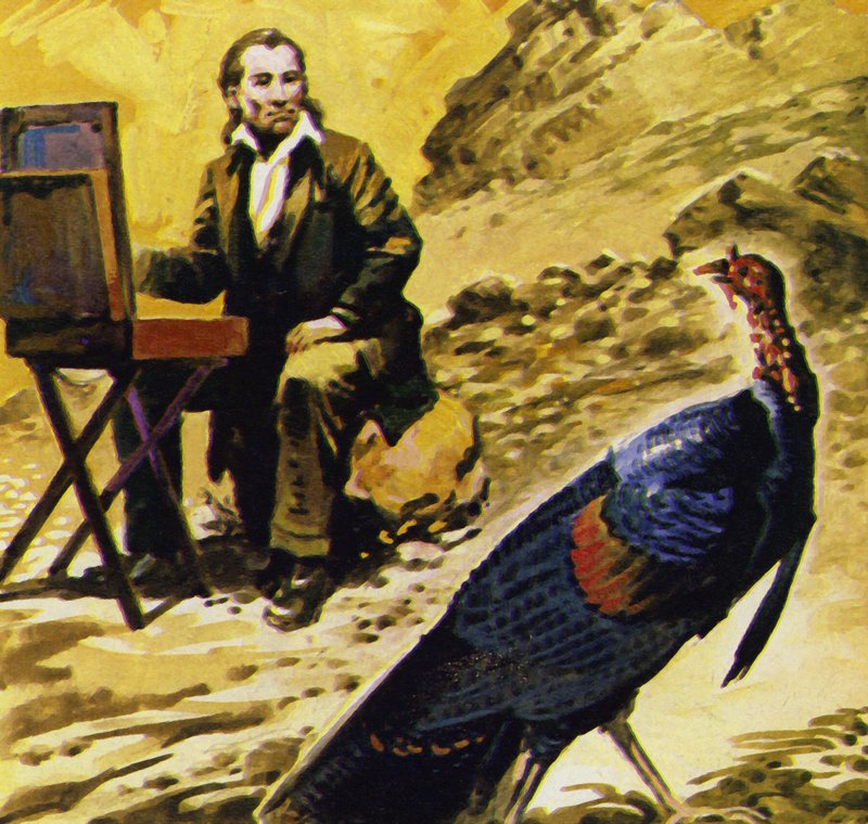 Audubon poświęcił swoje życie malowaniu ptaków Ameryki autorstwa English School