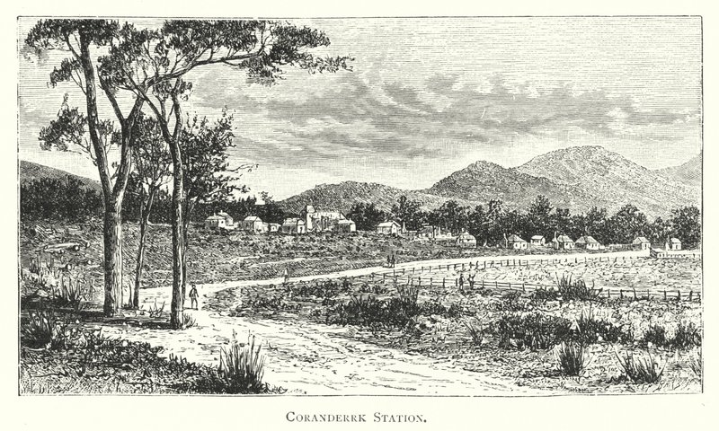 Australia: Stacja Coranderrk (grawerowanie) autorstwa English School
