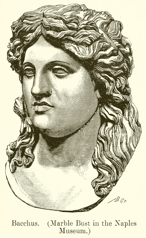 Bachus. (Marmurowe popiersie w Muzeum Neapolitańskim) (rycina) autorstwa English School