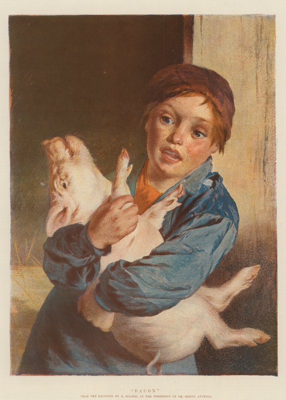 Bekon (chromolit) autorstwa English School